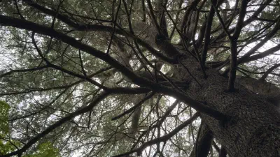 私は自分のなかの呪いを利用されたくない